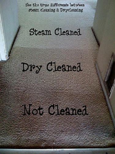 Carpet Cleaning Comparison